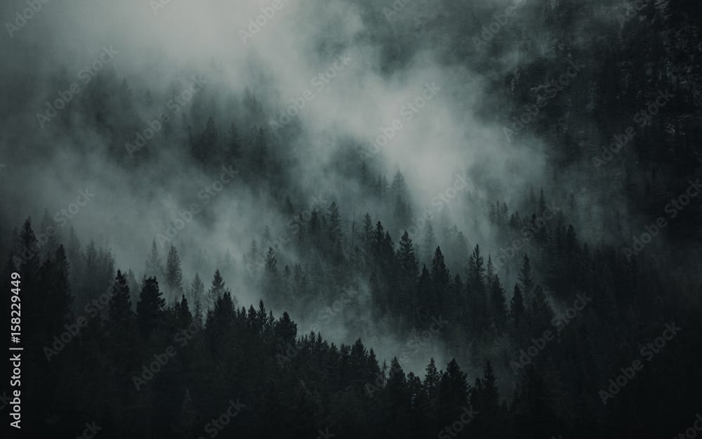 Why digital marketing is important for your business.